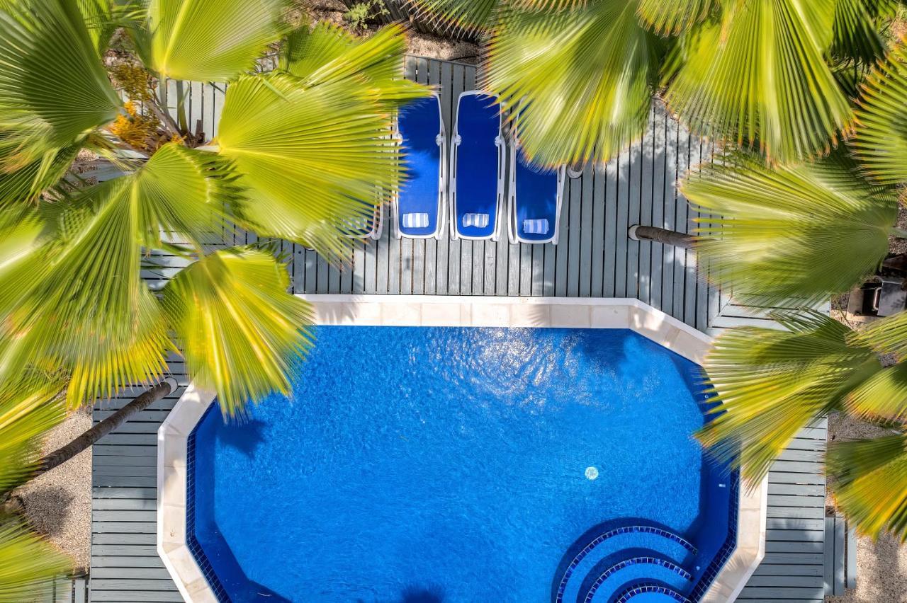 Tropical Divers Resort Kralendijk Exteriér fotografie